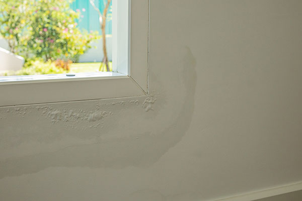 Wall Leak Repair